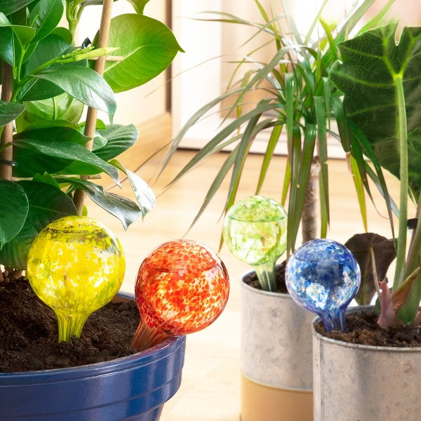 12 Globos De Riego Automático KUMSODE - Sistema De Goteo Transparente Para Plantas De Interior Y Exterior